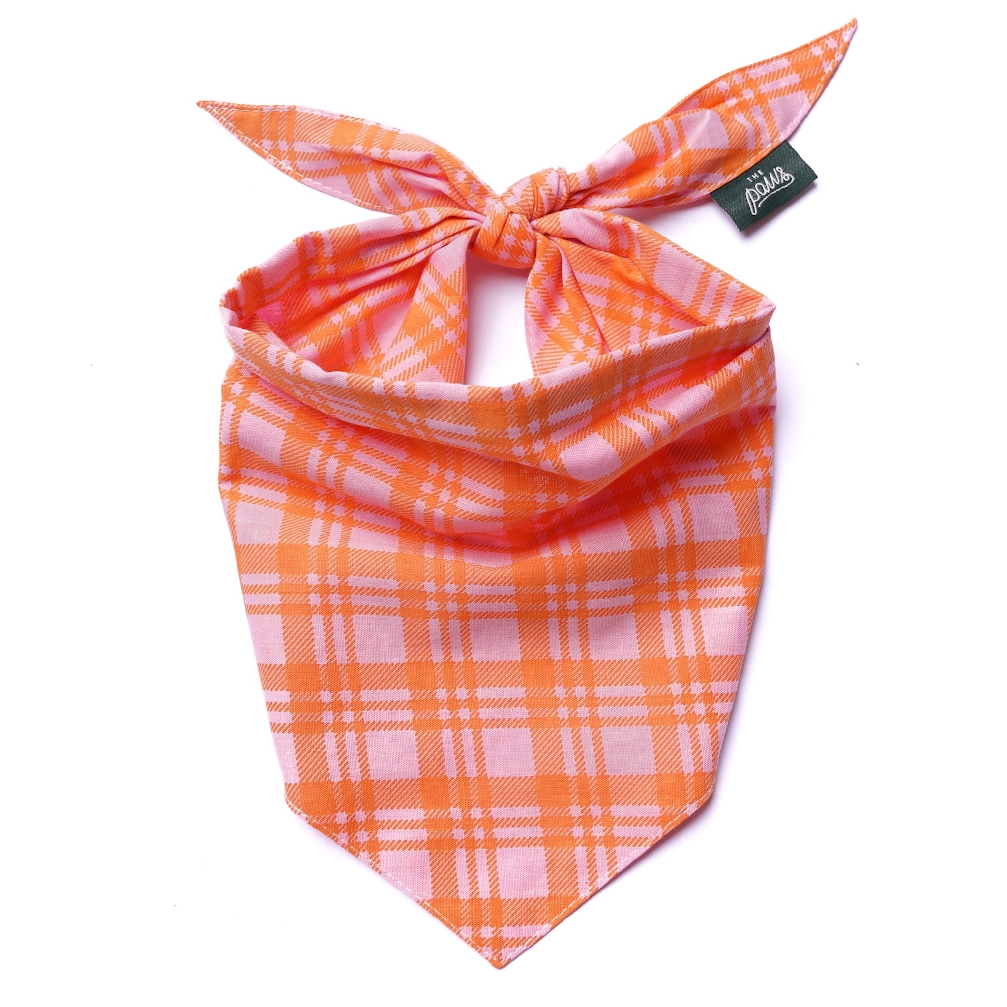 Stevie Dog Bandana from The Paws