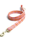 Stevie Leash