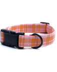 Stevie Collar