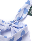 Story Dog Bandana
