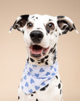 Story Dog Bandana