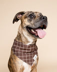 Stratford Dog Bandana from The Paws
