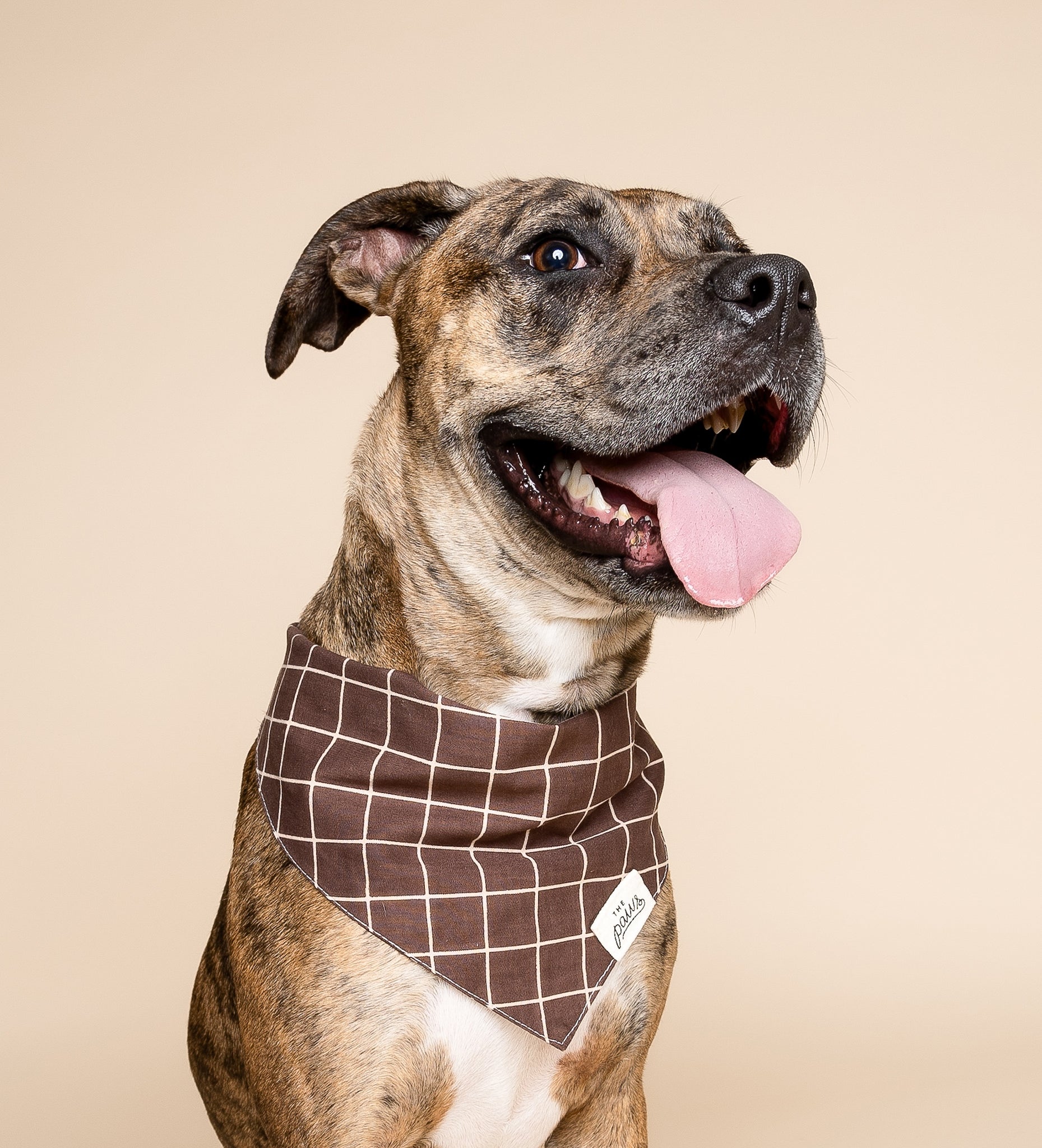 Dog Bandana Land Rover Barbour Dog Land Rover Barbour Dog Deals