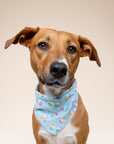 Summer Dog Bandana