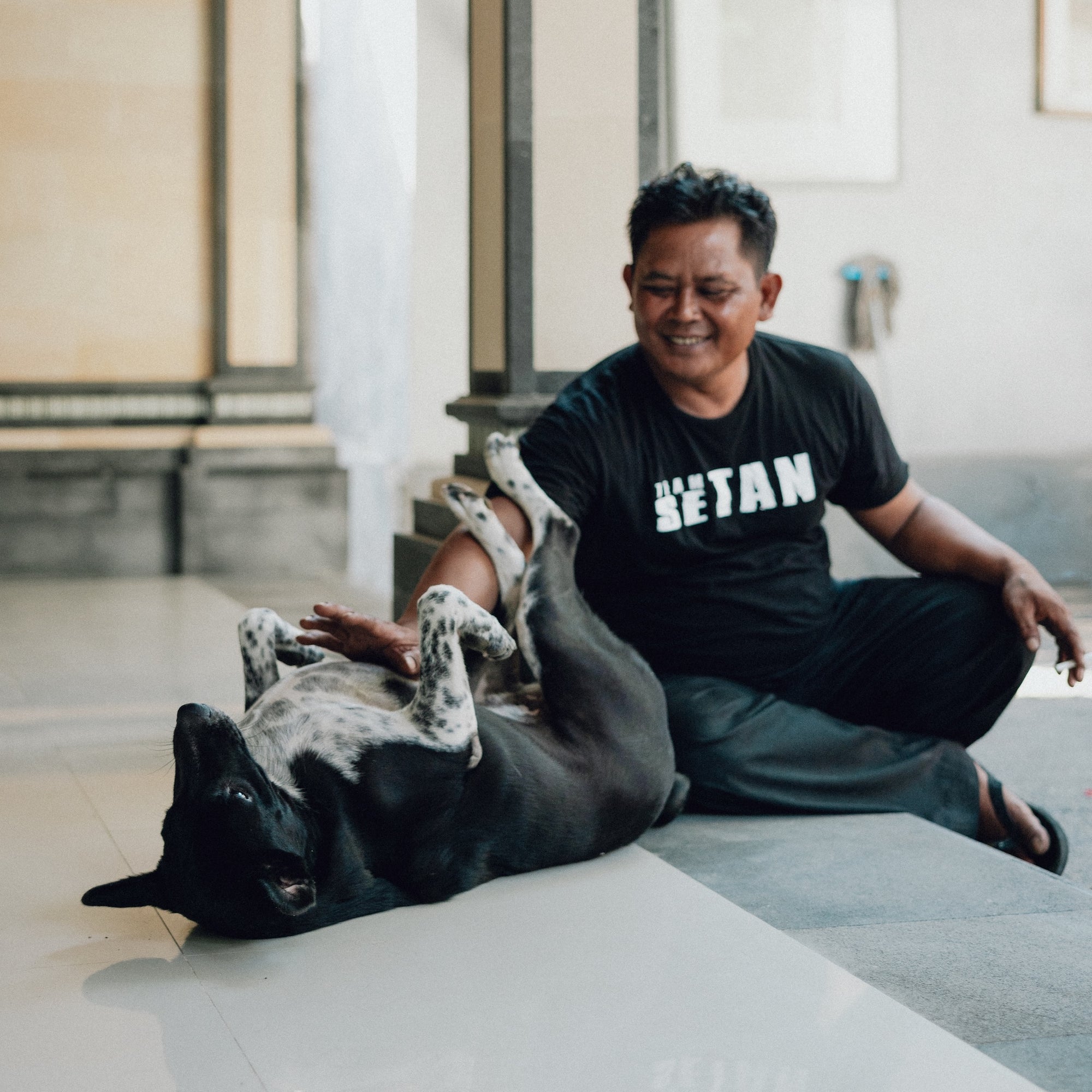 Supporting dogs in the community through different programs - The Paws