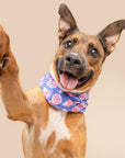Sweet Tooth Cooling Bandana