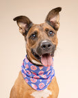 Sweet Tooth Cooling Bandana