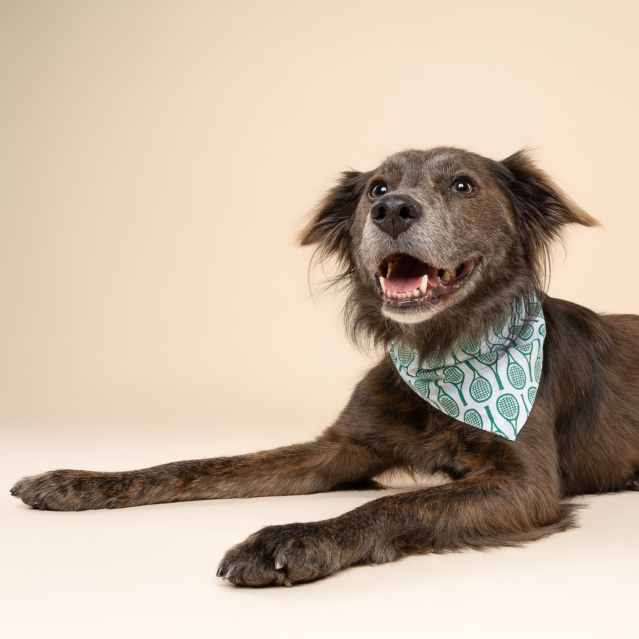 Tennis Dog Bandana from The Paws