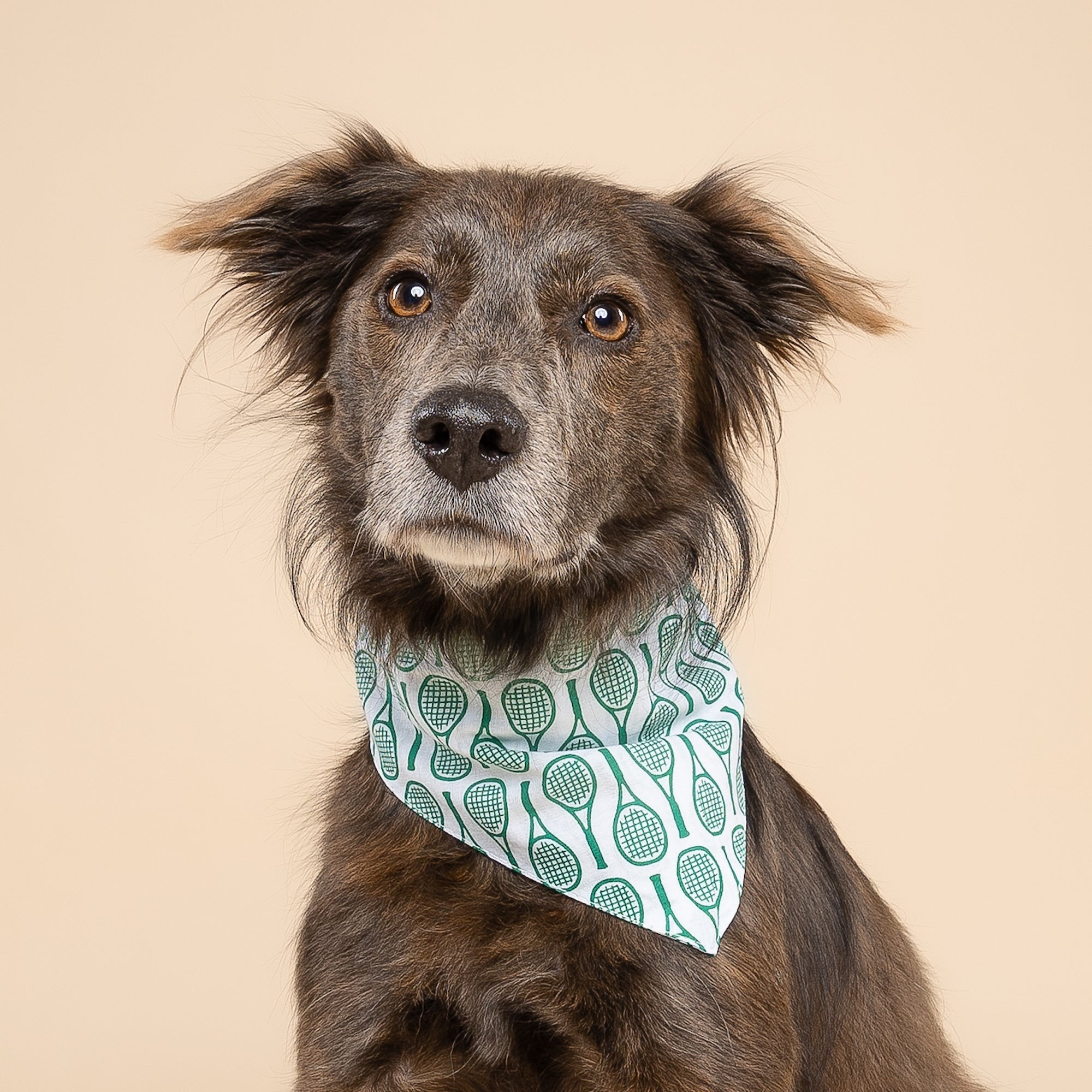 Tennis Dog Bandana from The Paws