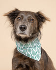 Tennis Dog Bandana from The Paws