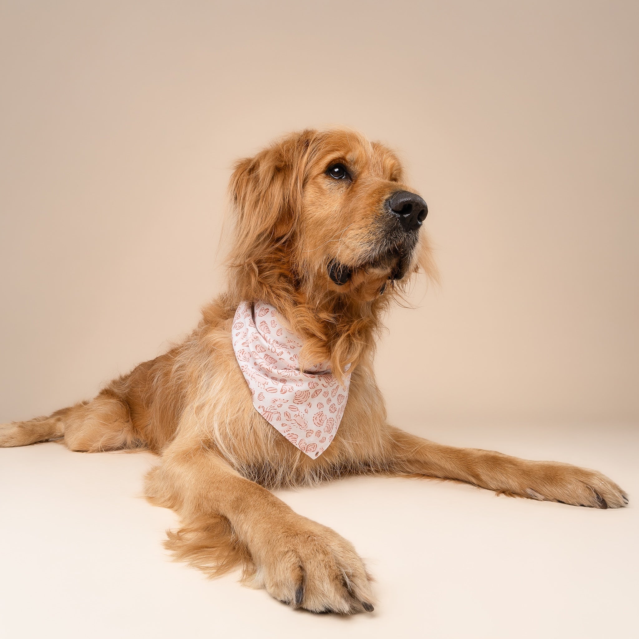 Tides Dog Bandana