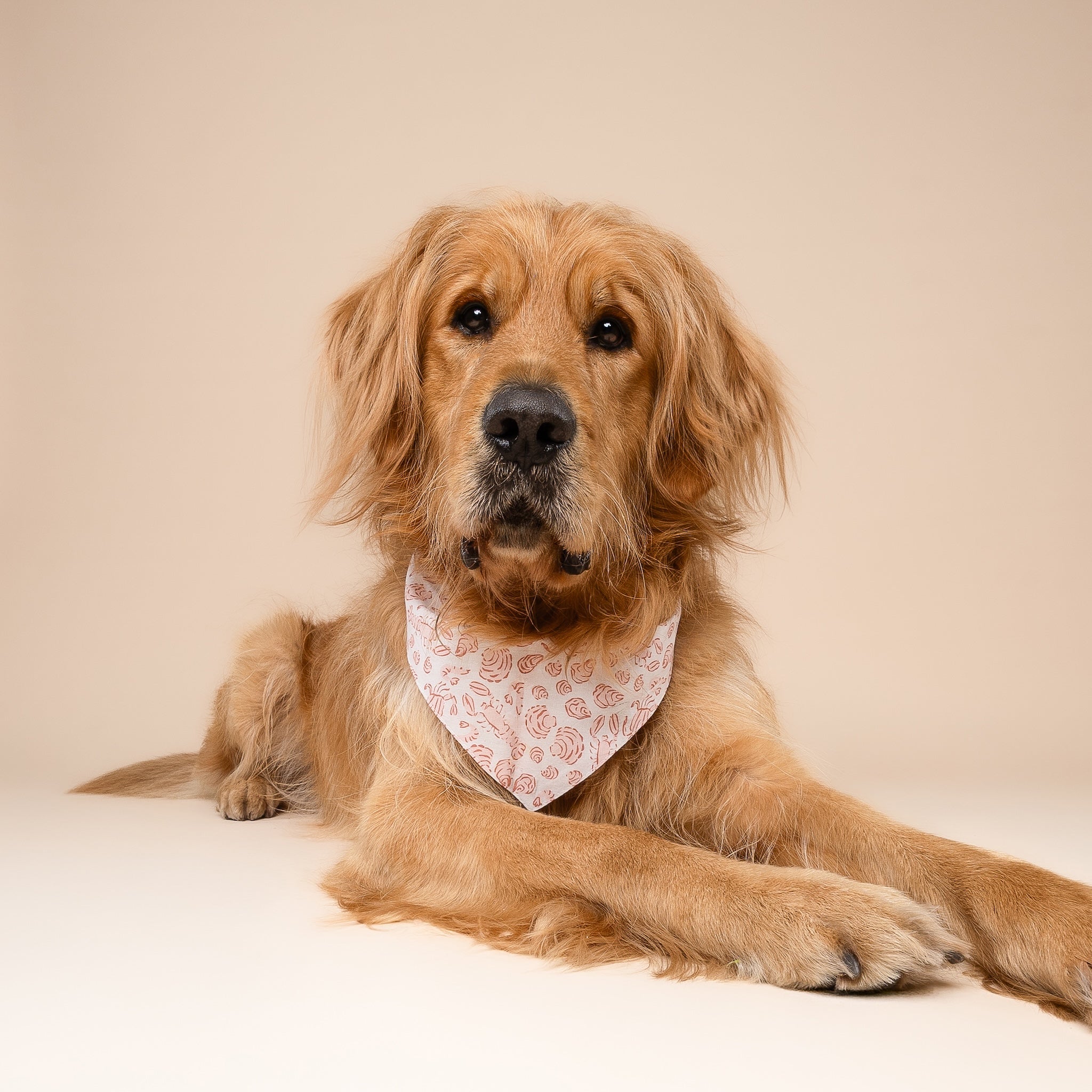 Tides Dog Bandana