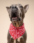 Tied In A Bow Dog Bandana