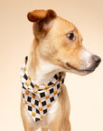 Trick or Treat Dog Bandana