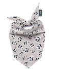Tricks Dog Bandana