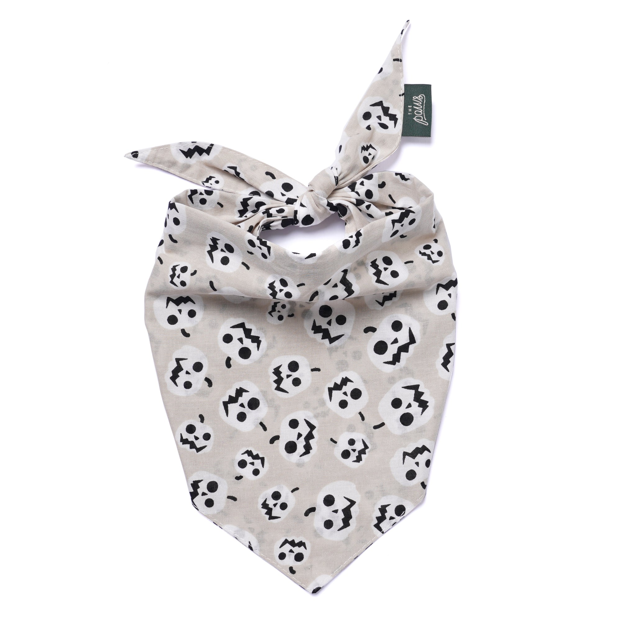 Tricks Dog Bandana