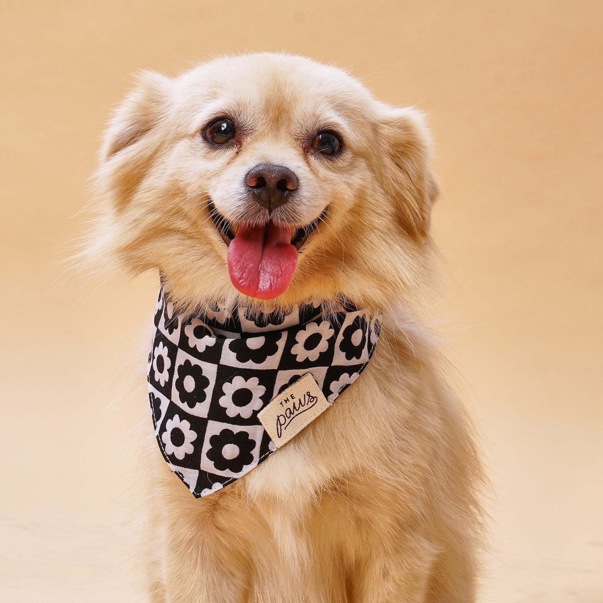 Tux dog bandana from The Paws