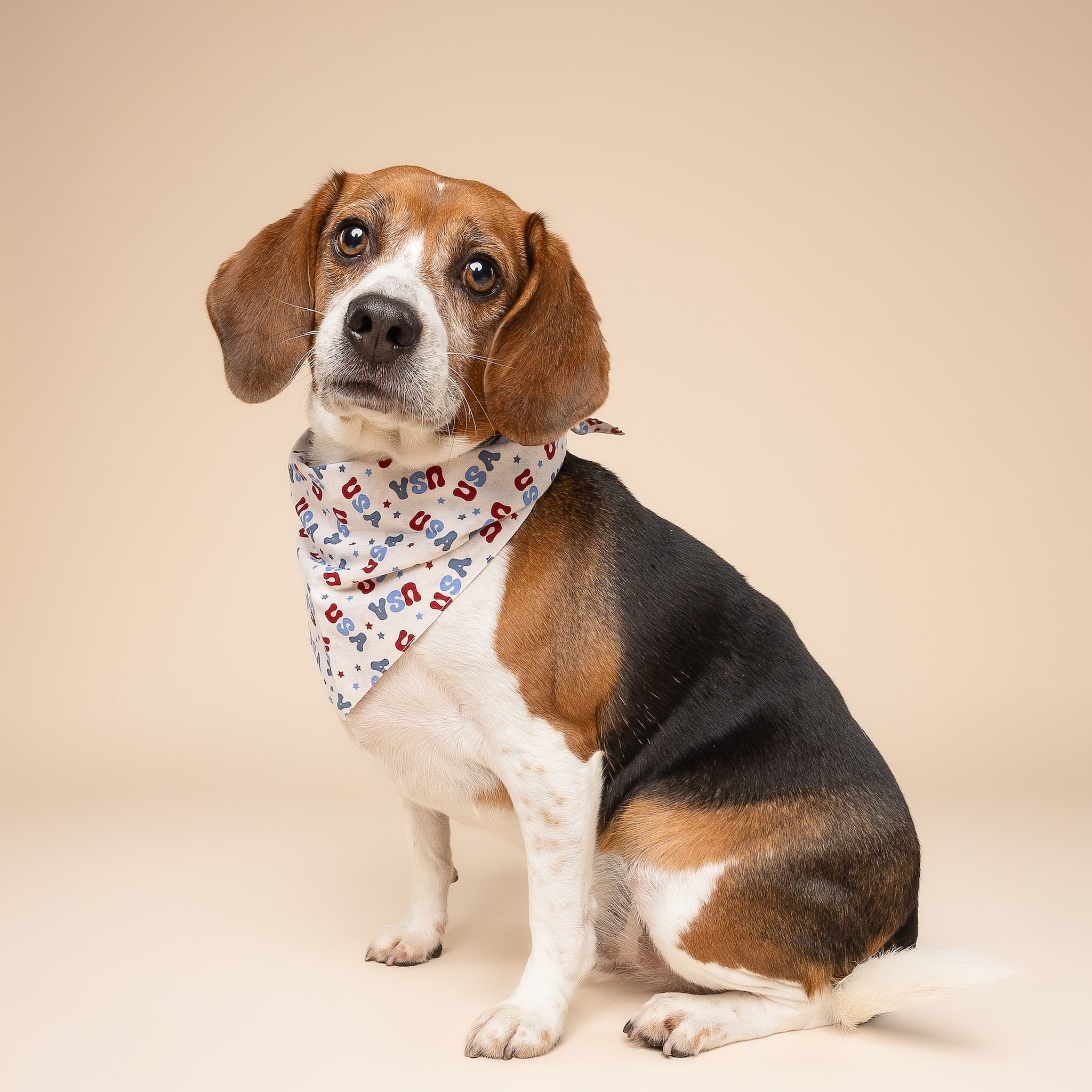 USA Dog Bandana
