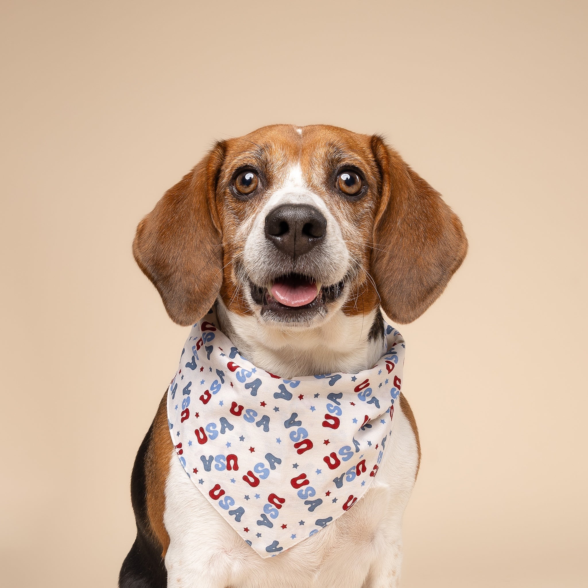 USA Dog Bandana