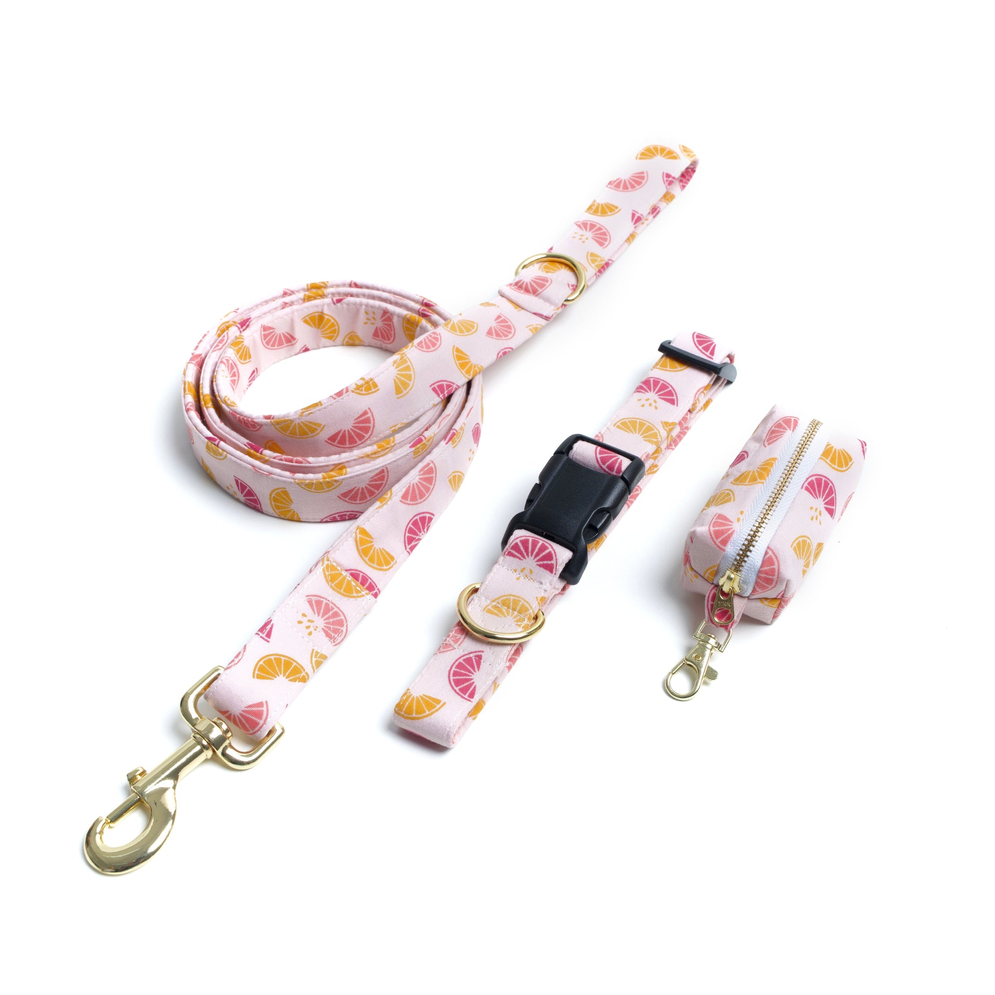 Walk Set - Squeezed Leash, Collar and Waste Bag Holder