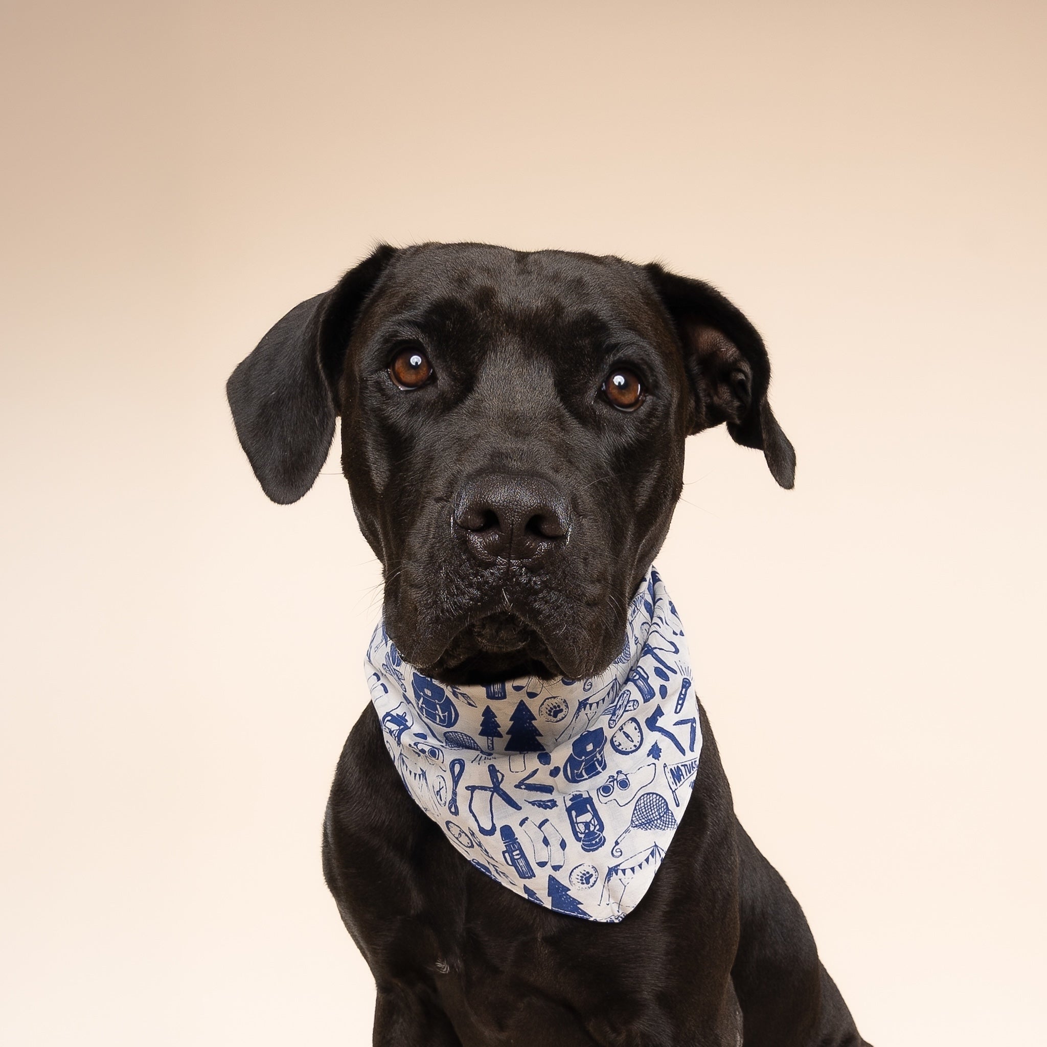 Wander Dog Bandana