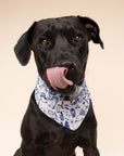 Wander Dog Bandana