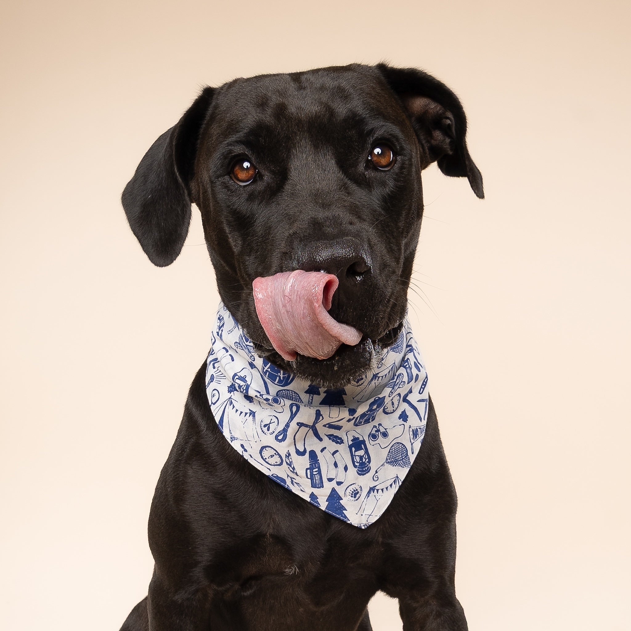 Wander Dog Bandana