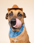 West Dog Bandana