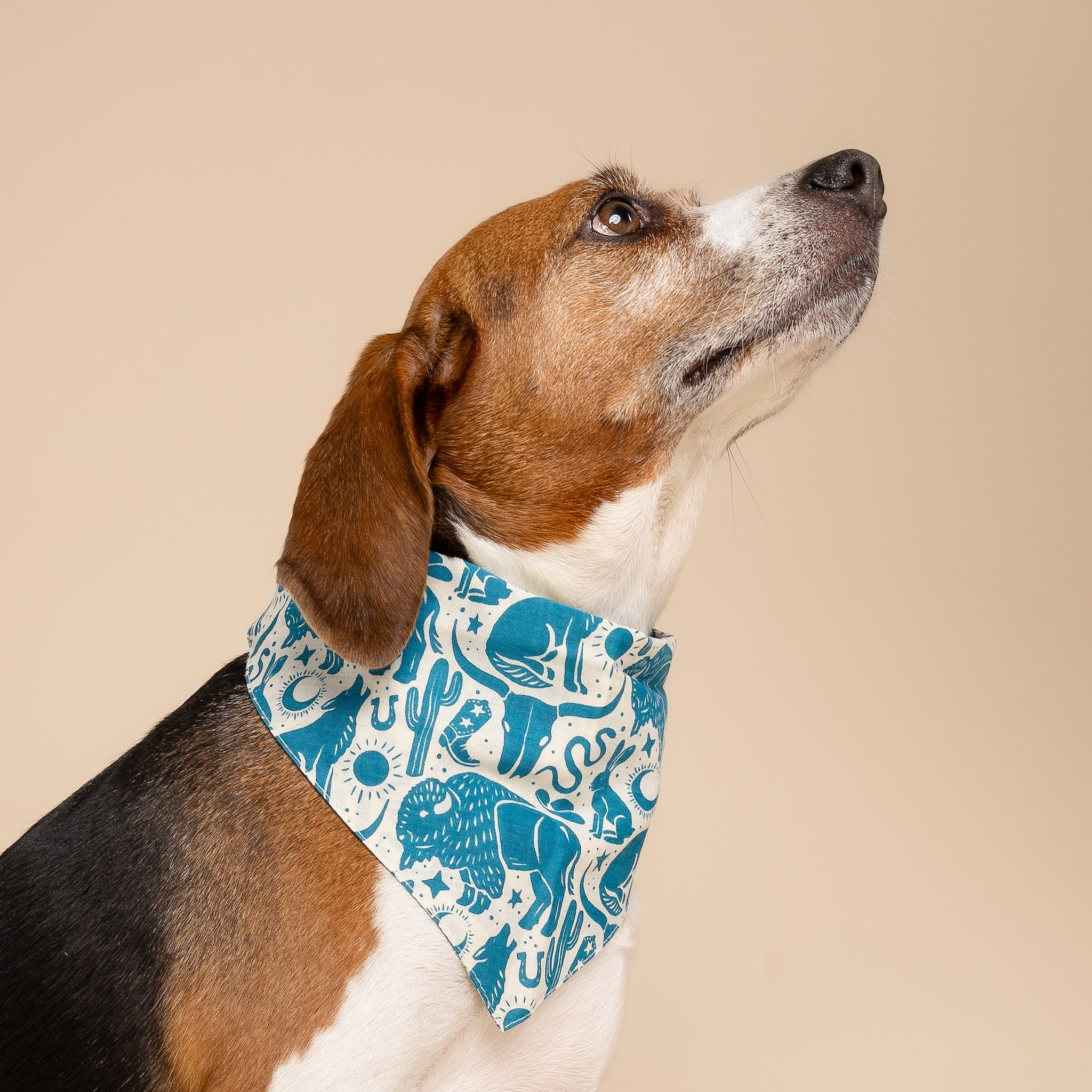 Western Blue Dog Bandana