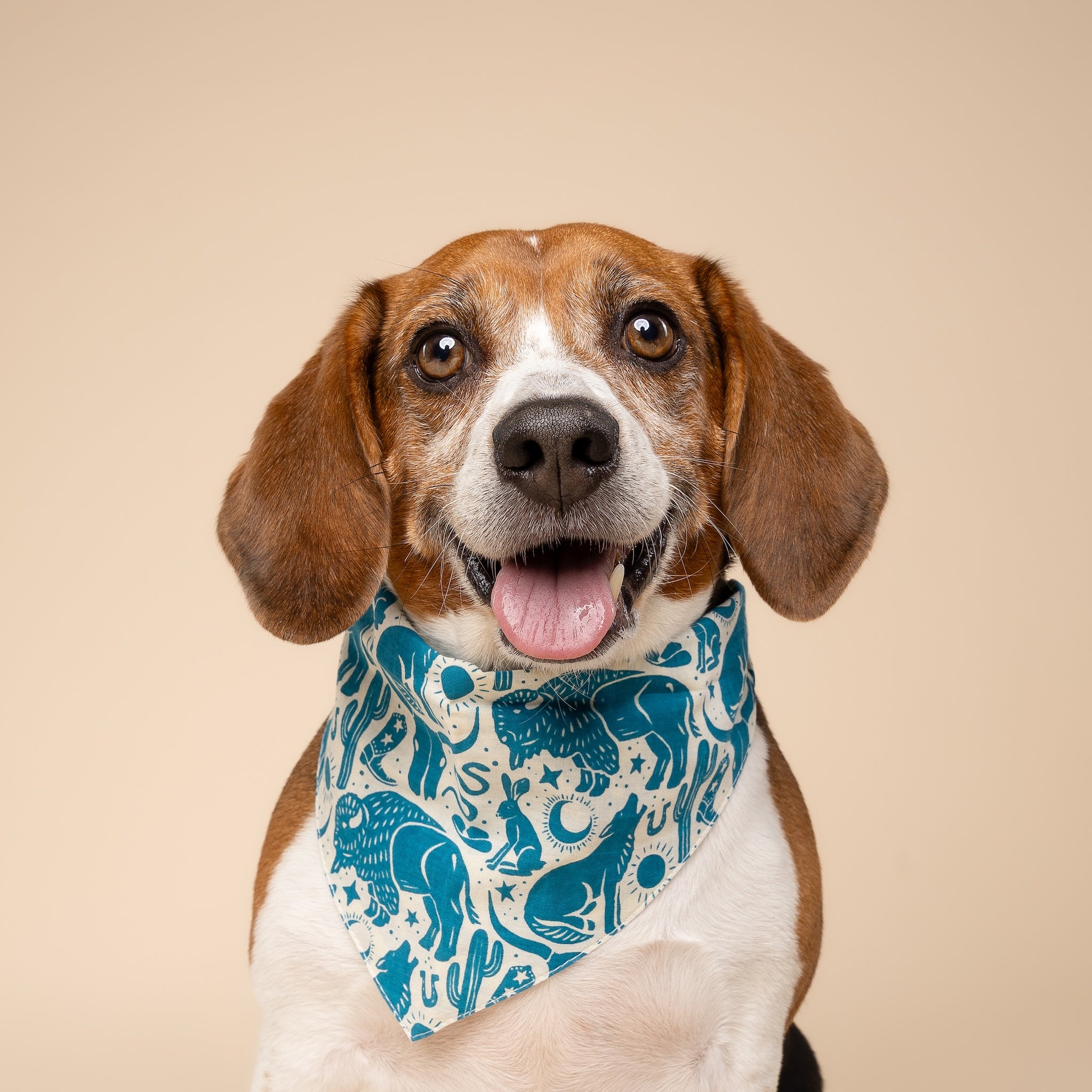 Western Blue Dog Bandana