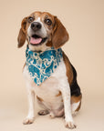 Western Blue Dog Bandana