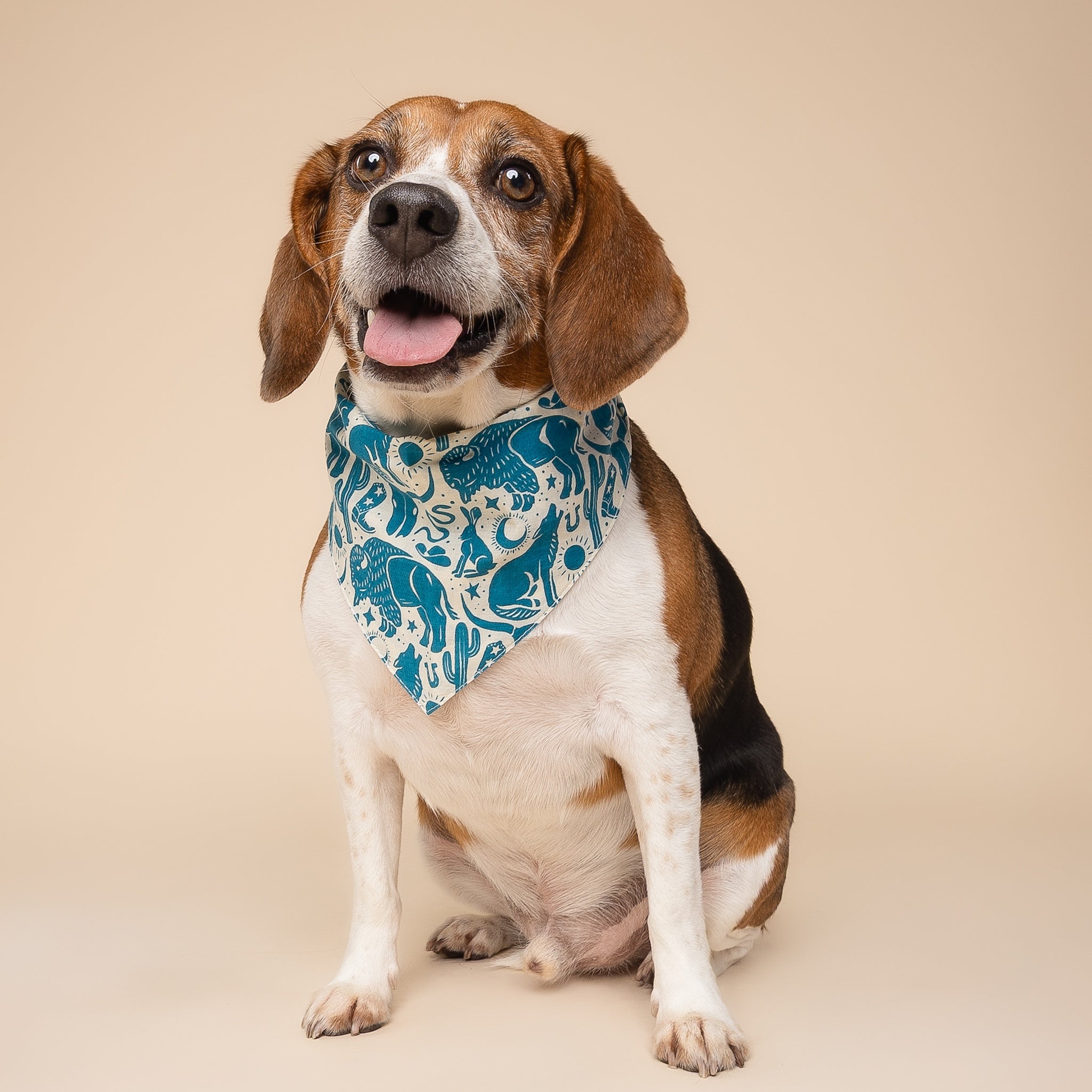 Western Blue Dog Bandana