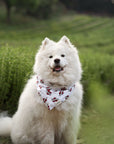 Love Dad Dog Bandana