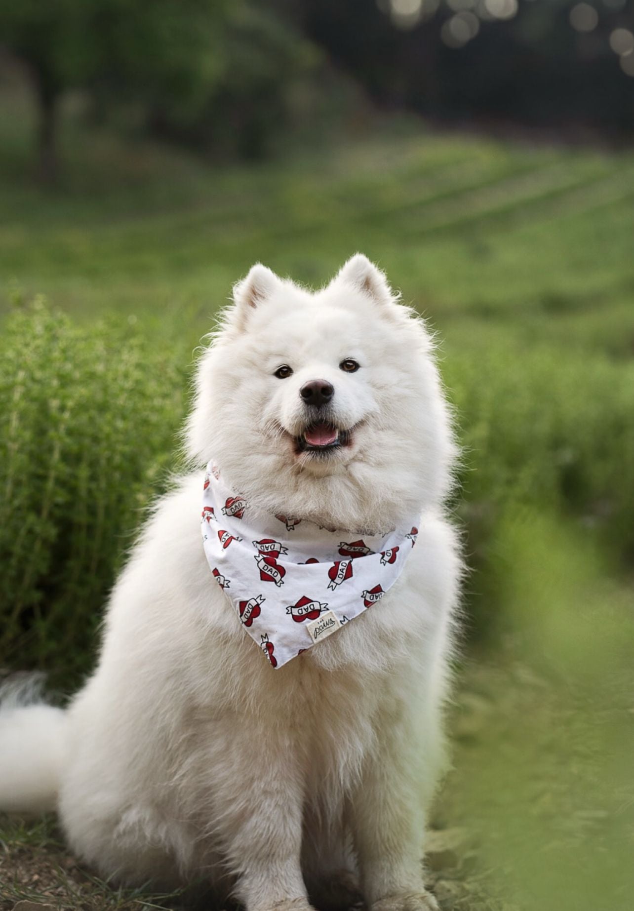 Love Dad Dog Bandana