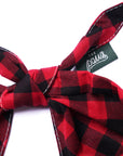 Whiskey Dog Bandana