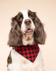 Whiskey Dog Bandana
