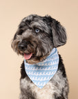 Whitecaps Dog Bandana