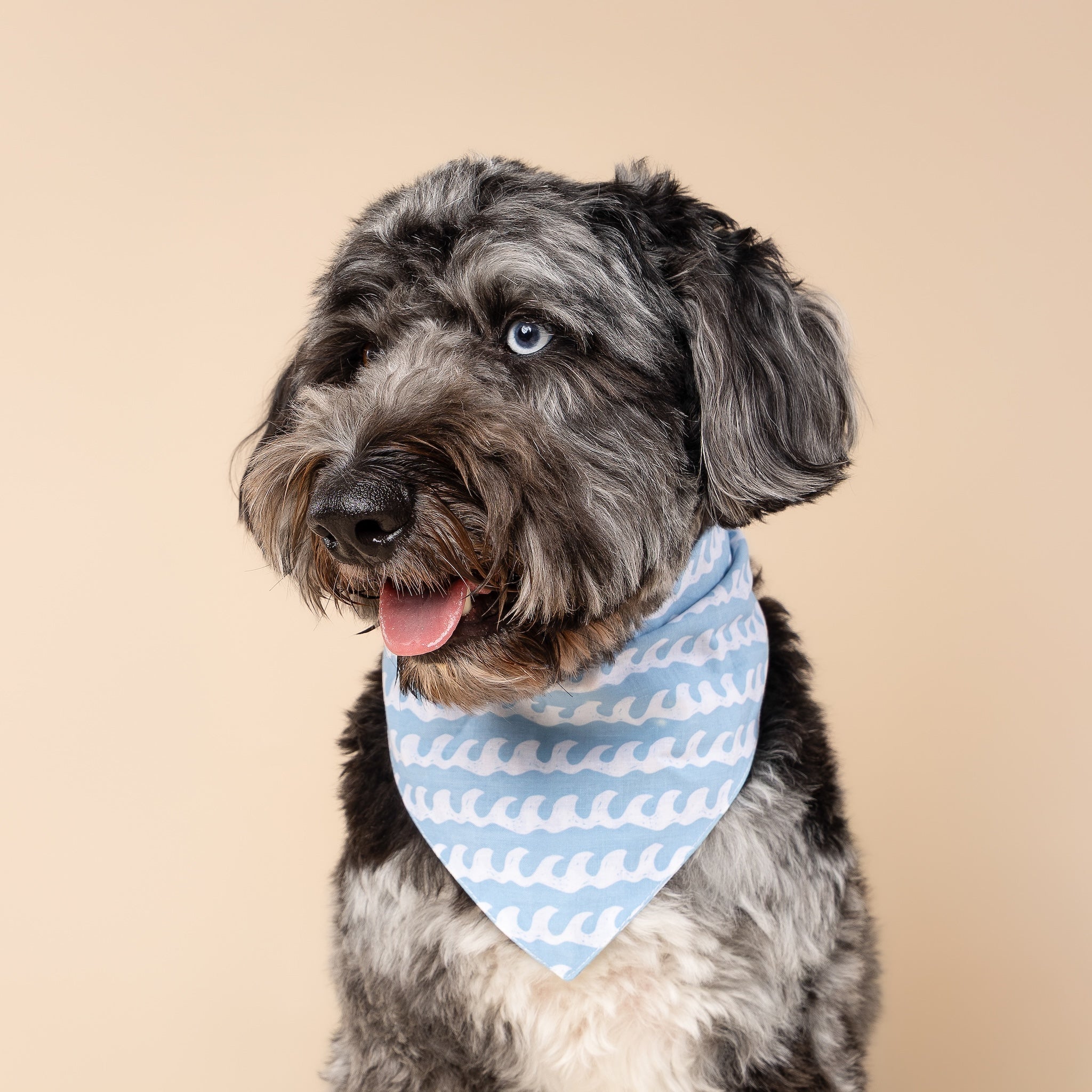 White Caps Dog Bandana