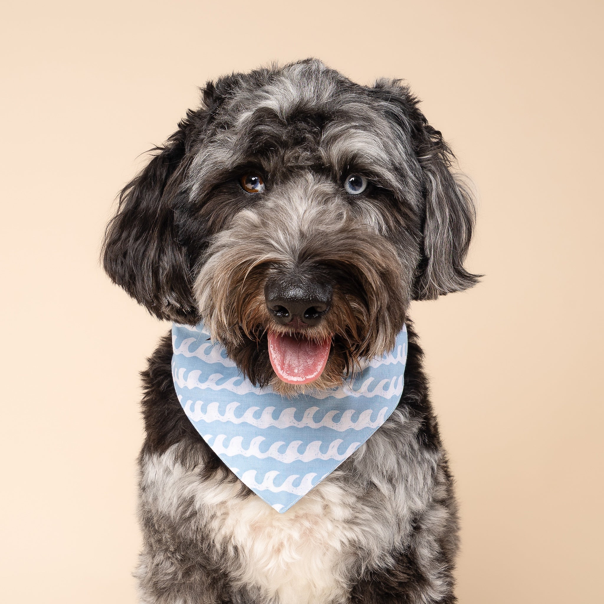 White Caps Dog Bandana