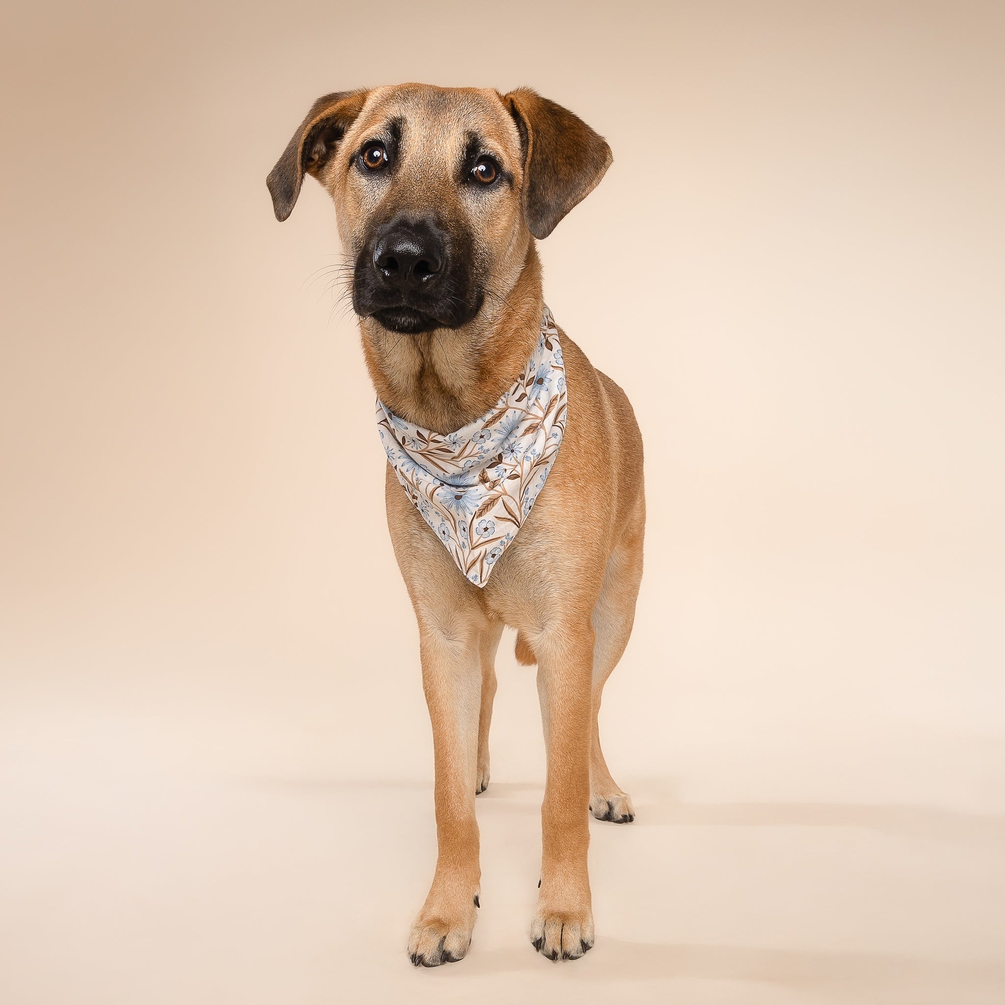 Willow Fall Dog Bandana