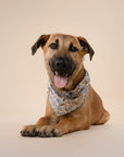 Willow Dog Bandana