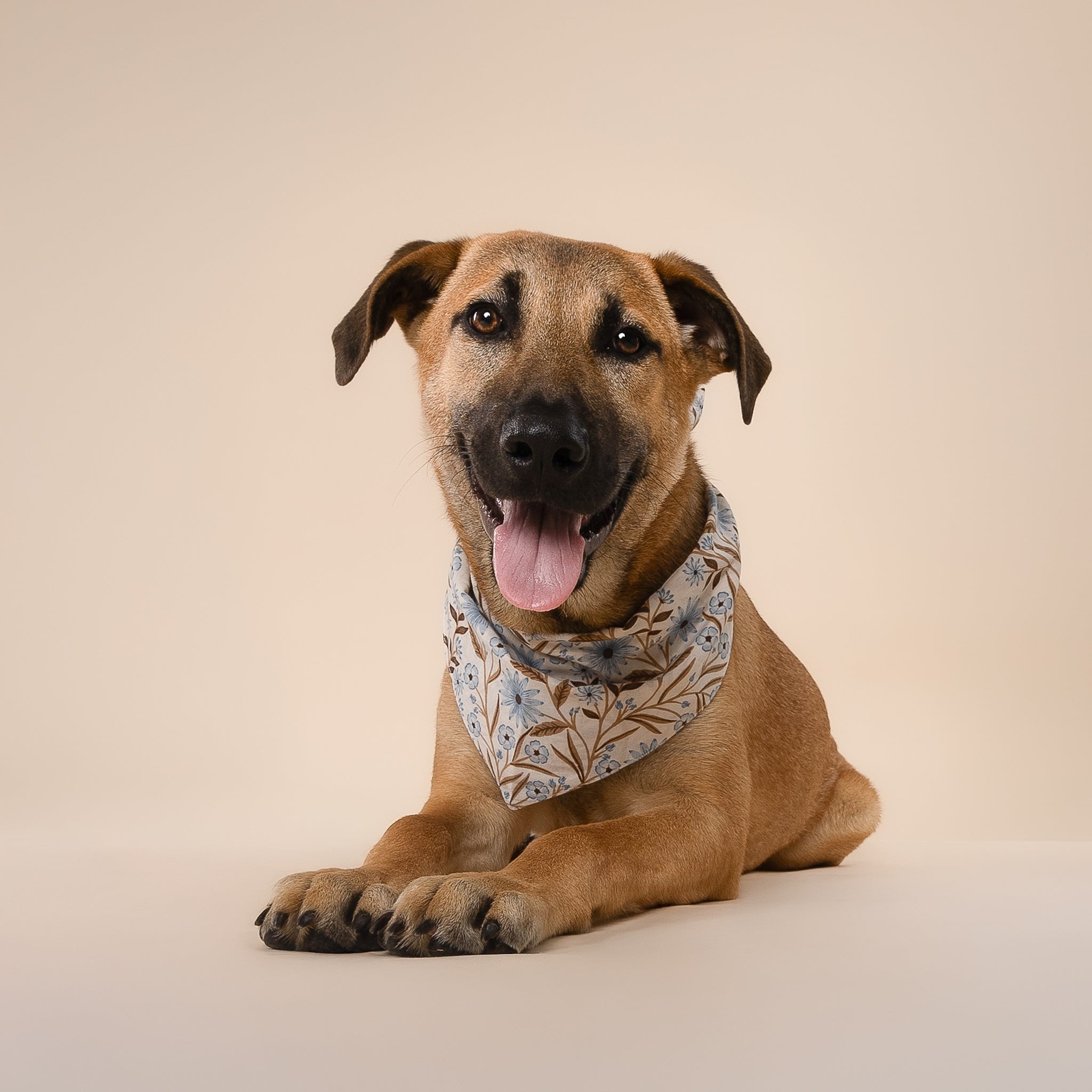 Willow Fall Dog Bandana
