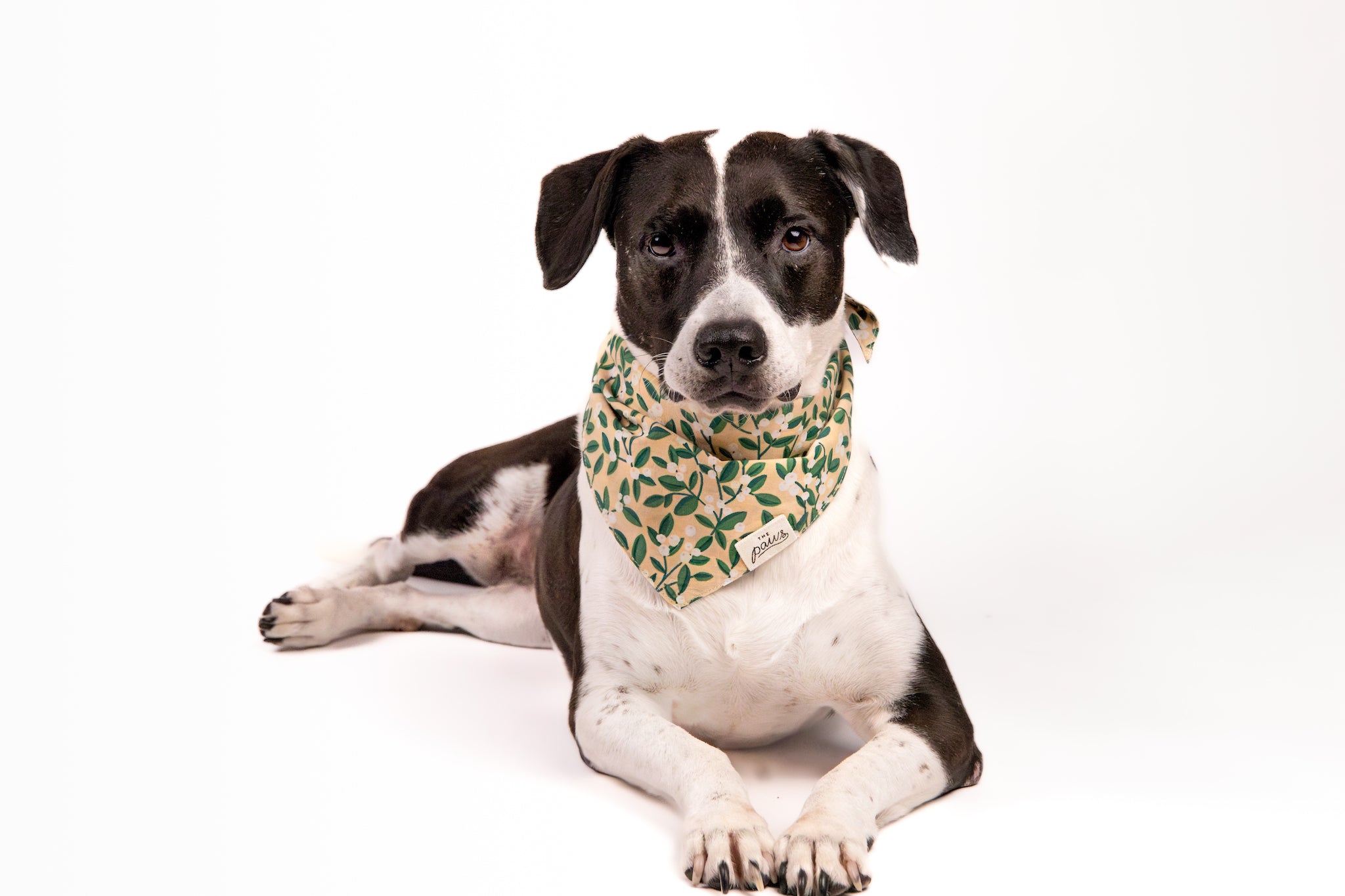 Green Berry Dog Bandana