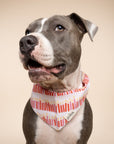 Wish Pink Dog Bandana from The Paws 1