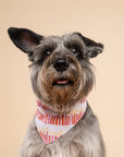 Wish Pink Dog Bandana