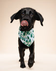 Woods Dog Bandana
