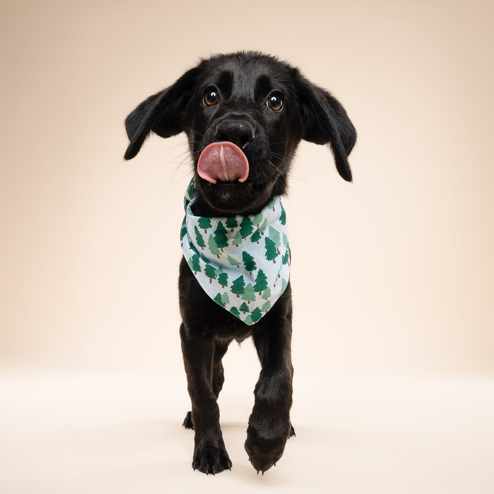 Woods Dog Bandana