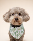 Yucca Cactus Dog Bandana
