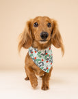 Yule Christmas Dog Bandana