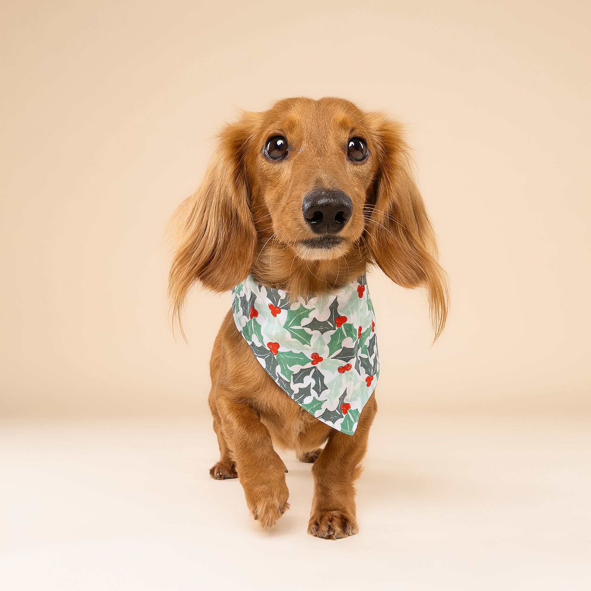 Yule Christmas Dog Bandana